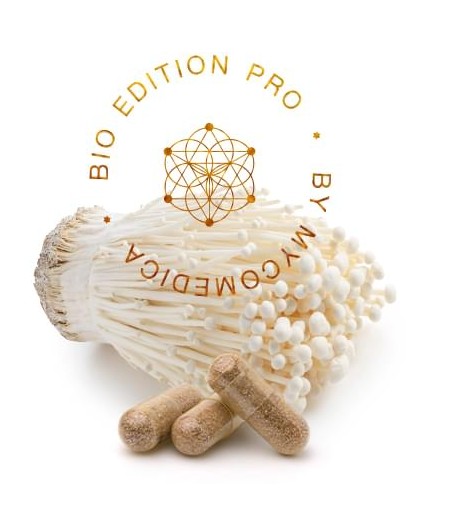 Enoki PRO